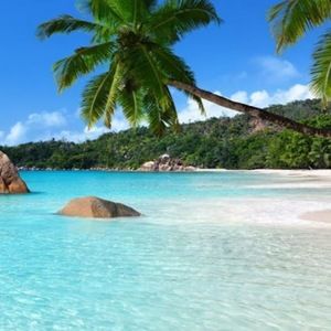 Meet your Posher, Keira